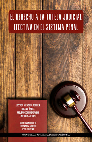 El derecho a la tutela judicial efectiva en el sistema penal