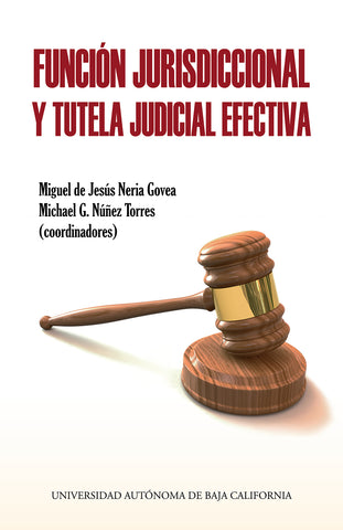 Función jurisdiccional y tutela judicial efectiva.