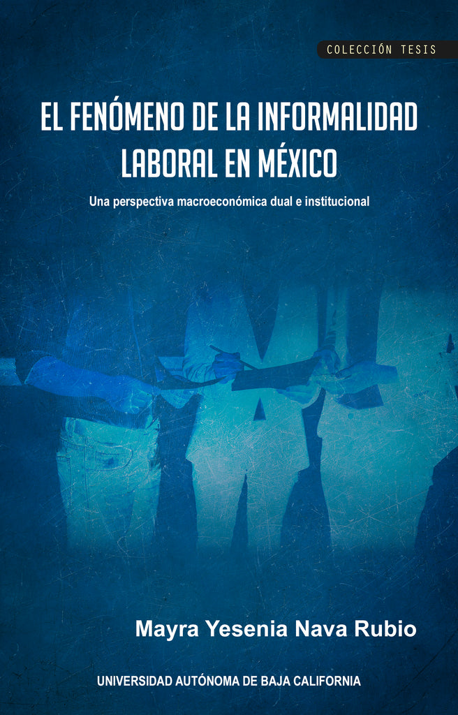 El fenómeno de la informalidad laboral en México. Una perspectiva macroeconómica dual e institucional