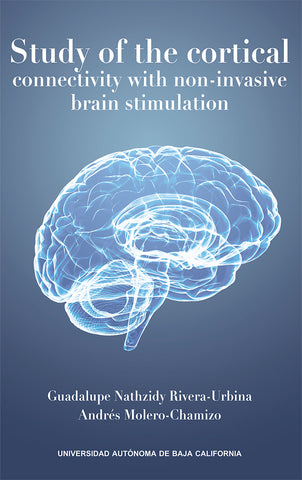 Study of the cortical connectivity with non-invasive brain stimulation